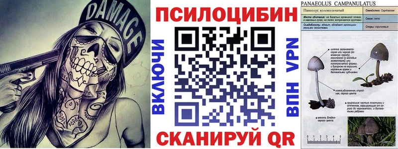 Псилоцибиновые грибы мицелий  сколько стоит  Верхотурье 